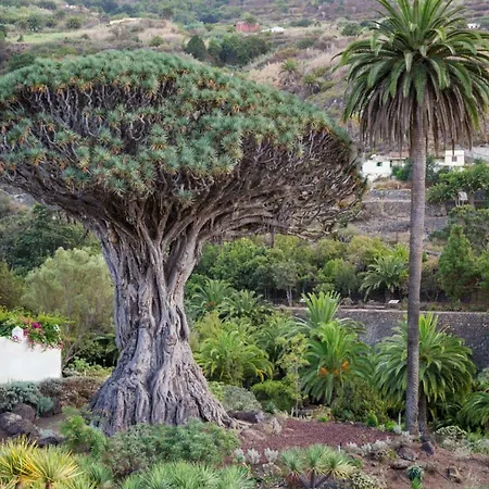 Ad Alberto Dorner - Junior Lejlighed Icod De Los Vinos